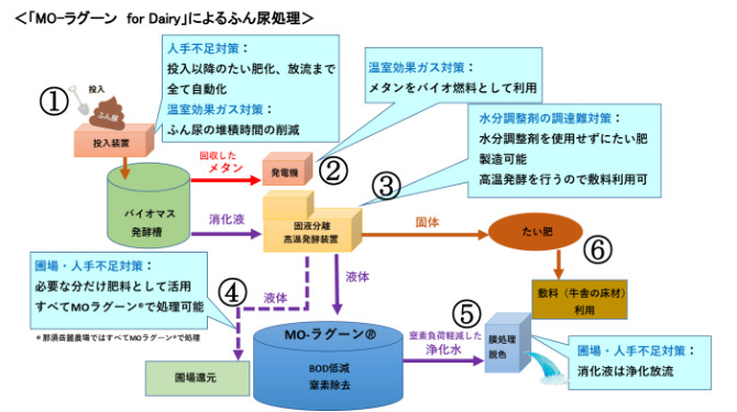 酪農・畜産におけるふん尿処理システム「MO-ラグーンfor Dairy」