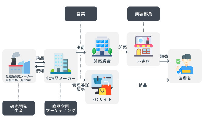 化粧品業界の代表的な職種を示した画像